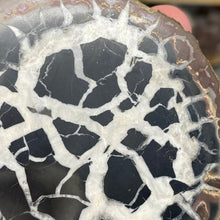 Bild in Galerie-Viewer laden, Septarian Nodule Pair #13