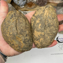 Load image into Gallery viewer, Septarian Nodule Pair #18