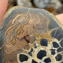 Load image into Gallery viewer, Septarian Nodule Pair #18