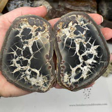 Bild in Galerie-Viewer laden, Septarian Nodule Pair #19