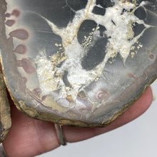 Bild in Galerie-Viewer laden, Septarian Nodule Pair #19