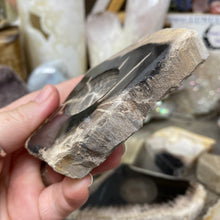 Bild in Galerie-Viewer laden, Petrified Wood Stand #01