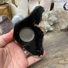 Bild in Galerie-Viewer laden, Petrified Wood Stand #07
