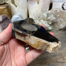 Bild in Galerie-Viewer laden, Petrified Wood Stand #07