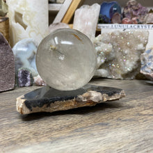 Bild in Galerie-Viewer laden, Petrified Wood Stand #07