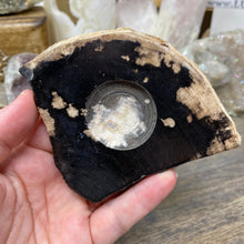 Bild in Galerie-Viewer laden, Petrified Wood Stand #19