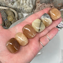 Chargez l'image dans la visionneuse de la galerie, Honey Calcite 1" Tumbles