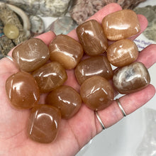 Chargez l'image dans la visionneuse de la galerie, Honey Calcite 1" Tumbles