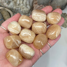 Chargez l'image dans la visionneuse de la galerie, Honey Calcite 1" Tumbles