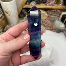 将图像加载到图库查看器中,Fluorite DT #05