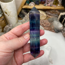将图像加载到图库查看器中,Fluorite DT #05