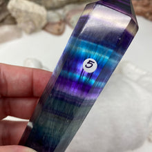 将图像加载到图库查看器中,Fluorite DT #05