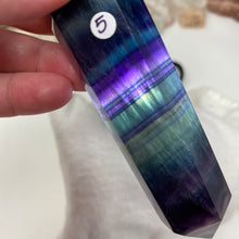 将图像加载到图库查看器中,Fluorite DT #05