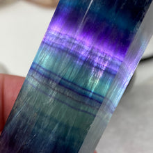 将图像加载到图库查看器中,Fluorite DT #05