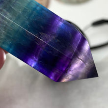 将图像加载到图库查看器中,Fluorite DT #05