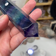 将图像加载到图库查看器中,Fluorite DT #05