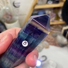 将图像加载到图库查看器中,Fluorite DT #05
