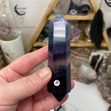 将图像加载到图库查看器中,Fluorite DT #08