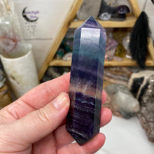 将图像加载到图库查看器中,Fluorite DT #08