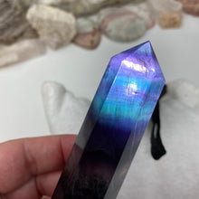 将图像加载到图库查看器中,Fluorite DT #08