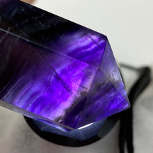 将图像加载到图库查看器中,Fluorite DT #08