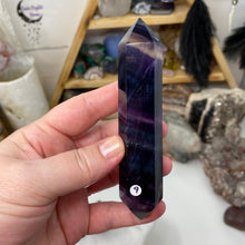 将图像加载到图库查看器中,Fluorite DT #09