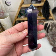 将图像加载到图库查看器中,Fluorite DT #09