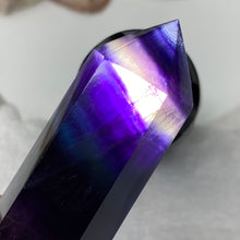 将图像加载到图库查看器中,Fluorite DT #09