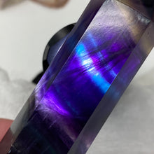 将图像加载到图库查看器中,Fluorite DT #09