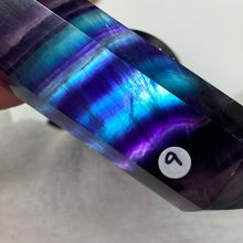 将图像加载到图库查看器中,Fluorite DT #09