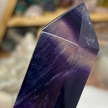 将图像加载到图库查看器中,Fluorite DT #09