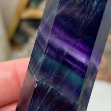 将图像加载到图库查看器中,Fluorite DT #09