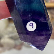 将图像加载到图库查看器中,Fluorite DT #09