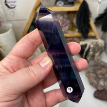 将图像加载到图库查看器中,Fluorite DT #09