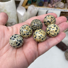 Bild in Galerie-Viewer laden, Dalmatian Jasper 21mm Spheres