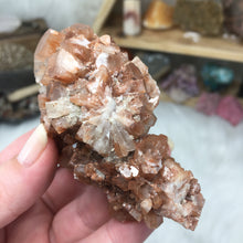 将图像加载到图库查看器中,<transcy>文石星团#03</transcy>