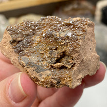 Chargez l'image dans la visionneuse de la galerie, Vanadinite #05 with Barite