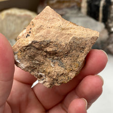 Chargez l'image dans la visionneuse de la galerie, Vanadinite #05 with Barite