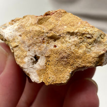 Chargez l'image dans la visionneuse de la galerie, Vanadinite #09 with Barite