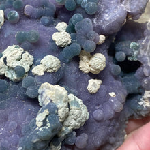 将图像加载到图库查看器中,Grape Agate Botryoidal Purple Chalcedony #01