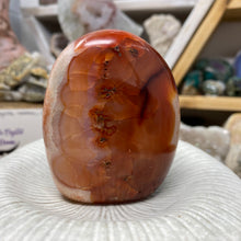 Bild in Galerie-Viewer laden, Carnelian Freeform #01