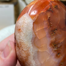 Bild in Galerie-Viewer laden, Carnelian Freeform #01