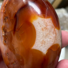 Bild in Galerie-Viewer laden, Carnelian Freeform #01