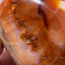 Bild in Galerie-Viewer laden, Carnelian Freeform #01