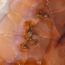 Bild in Galerie-Viewer laden, Carnelian Freeform #01