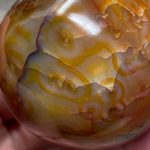 Bild in Galerie-Viewer laden, Carnelian 61mm / 2.43" Sphere #1
