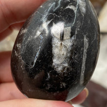 Bild in Galerie-Viewer laden, Orthoceras & Goniatite Ammonite Egg #07