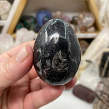 Bild in Galerie-Viewer laden, Orthoceras & Goniatite Ammonite Egg #09