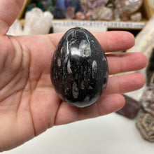 Bild in Galerie-Viewer laden, Orthoceras & Goniatite Ammonite Egg #09