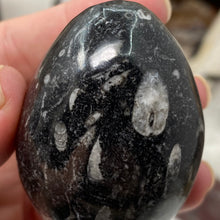 Bild in Galerie-Viewer laden, Orthoceras & Goniatite Ammonite Egg #09